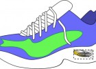 shoe