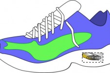 shoe