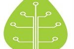 Artificial Leaf Photosynthesis Can Turn Sunlight To Electricity