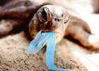 green technology solution - Plastic bag ban