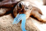 green technology solution - Plastic bag ban