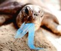 green technology solution - Plastic bag ban