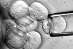 PH: Stem Cell Research Hub In Asia PH: Stem Cell Research Hub In Asia