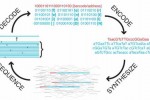 DNA Storage Cracked: Harvard Stores 704TB of Data in a Gram of DNA DNA Storage Cracked: Harvard Stores 704TB of Data in a Gram of DNA