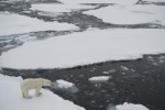 record-low-melting-arctic
