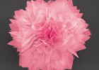 Nanoflowers - Solar Cells, Energy Storage