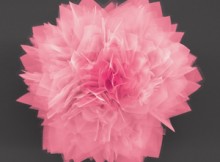 Nanoflowers - Solar Cells, Energy Storage