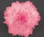 Nanoflowers - Solar Cells, Energy Storage