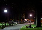 Central Park LEDs - Got Eco Technology