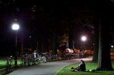 Central Park LEDs - Got Eco Technology