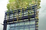 Can Garden Billboards Clean Urban Air?