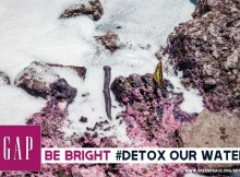 Ask GAP to Detox our water