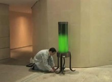algae lamps - eco friendly lighting - sustanable development