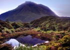 Mt Kitanglad Range Natural Park